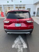 2020 Ford Escape Hybrid SE Sport