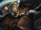 2019 Dodge Charger R/T