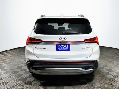2023 Hyundai Santa Fe Hybrid Limited