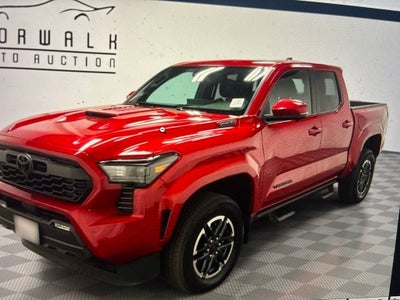 2024 Toyota Tacoma Hybrid TRD Sport