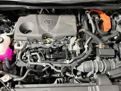 2021 Toyota Sienna XSE 7 Passenger