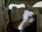 2024 Toyota Sienna XLE 8 Passenger