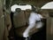 2024 Toyota Sienna XLE 8 Passenger